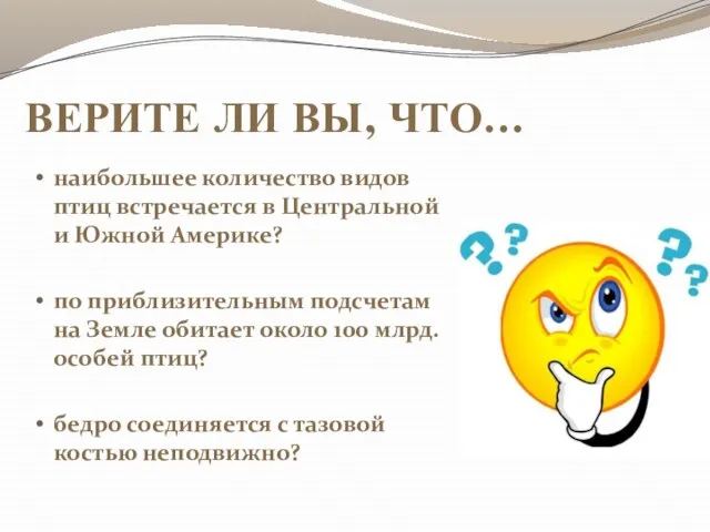 ВЕРИТЕ ЛИ ВЫ, ЧТО… наибольшее количество видов птиц встречается в Центральной