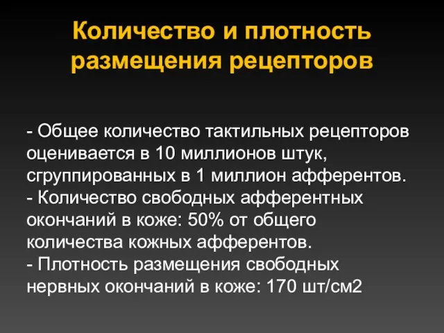 Количество и плотность размещения рецепторов - Общее количество тактильных рецепторов оценивается