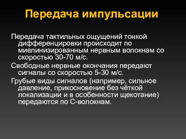 Передача импульсации Передача тактильных ощущений тонкой дифференцировки происходит по миелинизированным нервным