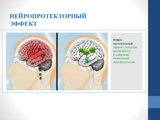 НЕЙРОПРОТЕКТОРНЫЙ ЭФФЕКТ