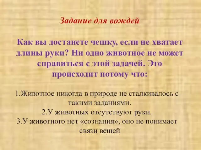 Задание для вождей Как вы достанете чешку, если не хватает длины