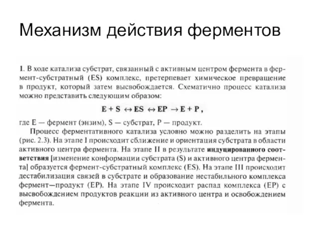 Механизм действия ферментов