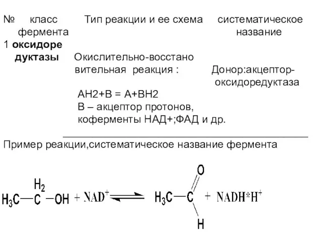 № класс Тип реакции и ее схема систематическое фермента название 1