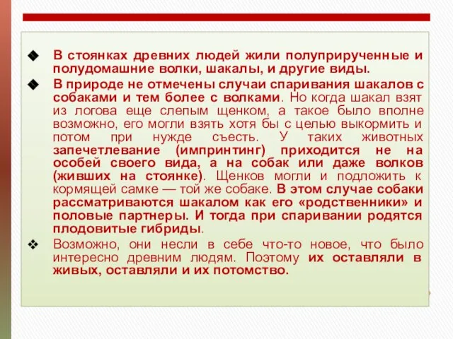 В стоянках древних людей жили полуприрученные и полудомашние волки, шакалы, и