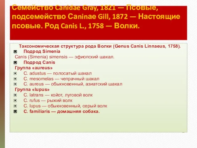 Семейство Canidae Gray, 1821 — Псовые, подсемейство Саninае Gill, 1872 —