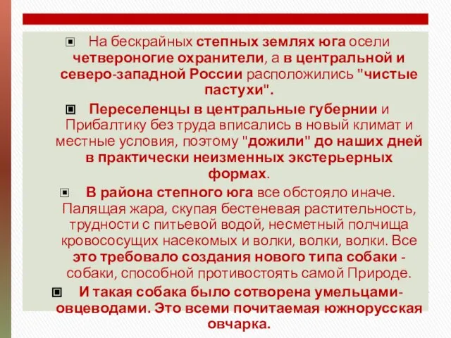 На бескрайных степных землях юга осели четвероногие охранители, а в центральной