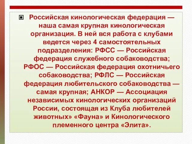 Российская кинологическая федерация — наша самая крупная кинологическая организация. В ней