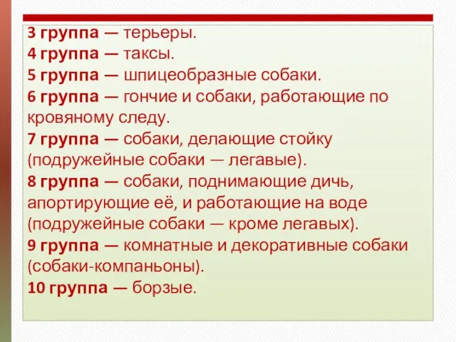 3 группа — терьеры. 4 группа — таксы. 5 группа —