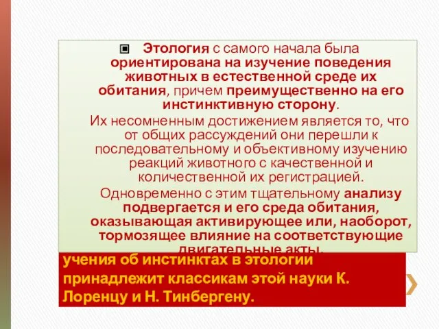 Ведущая роль в создании современного учения об инстинктах в этологии принадлежит