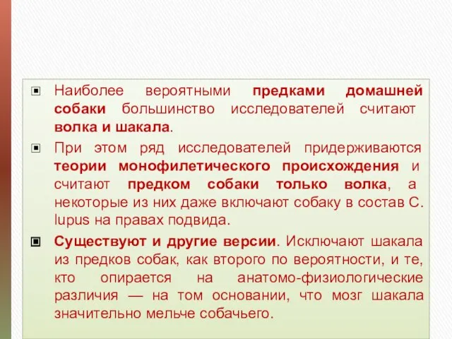 2.Происхождение и эволюция домашней собаки Наиболее вероятными предками домашней собаки большинство