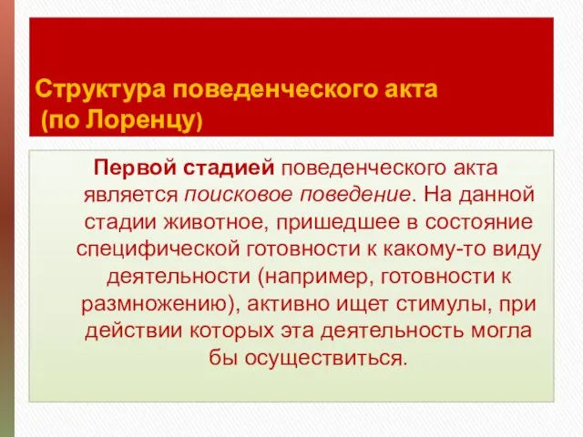 Структура поведенческого акта (по Лоренцу) Первой стадией поведенческого акта является поисковое