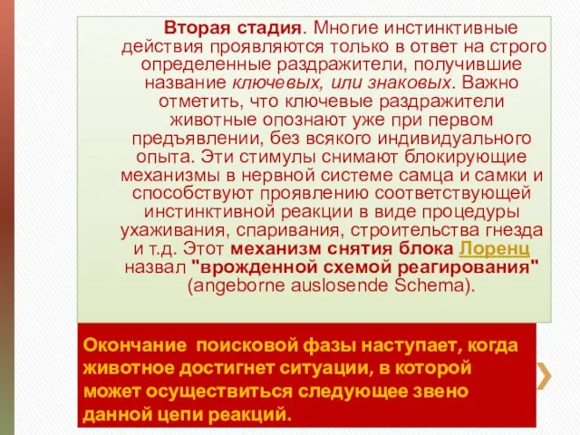 Окончание поисковой фазы наступает, когда животное достигнет ситуации, в которой может