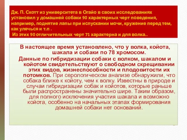 Дж. П. Скотт из университета в Огайо в своих исследованиях установил