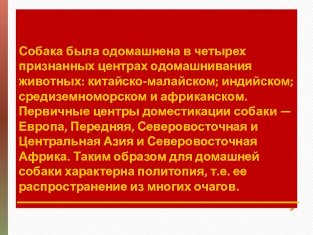 Собака была одомашнена в четырех признанных центрах одомашнивания животных: китайско-малайском; индийском;