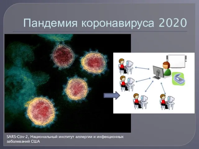 Пандемия коронавируса 2020 SARS-Cov-2, Национальный институт аллергии и инфекционных заболеваний США