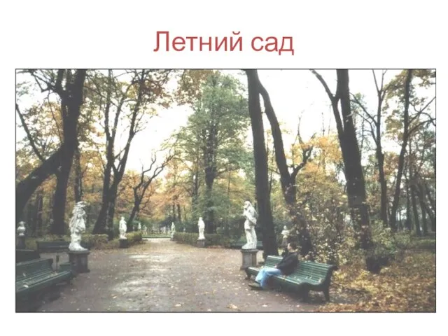 Летний сад