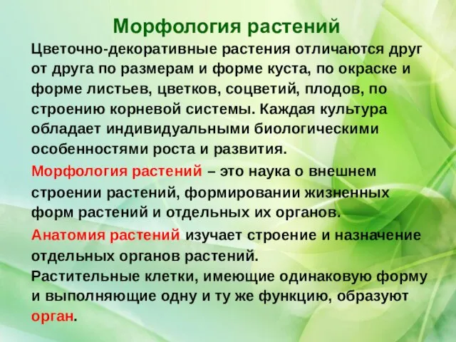 Цветочно-декоративные растения отличаются друг от друга по размерам и форме куста,