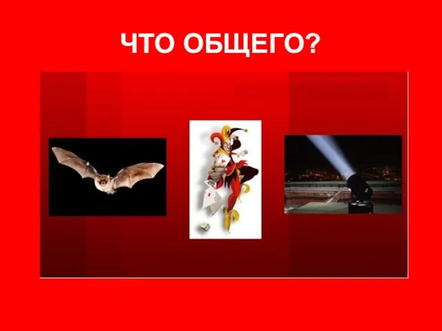 ЧТО ОБЩЕГО?