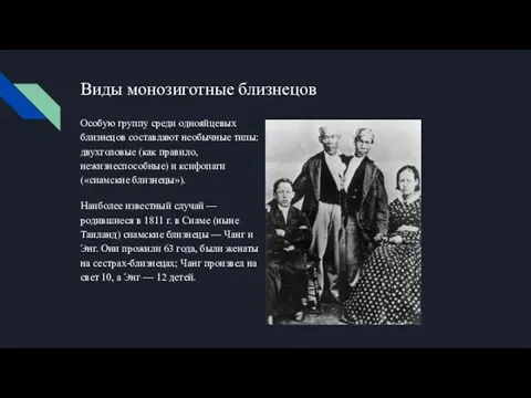 Виды монозиготные близнецов Особую группу среди однояйцевых близнецов составляют необычные типы: