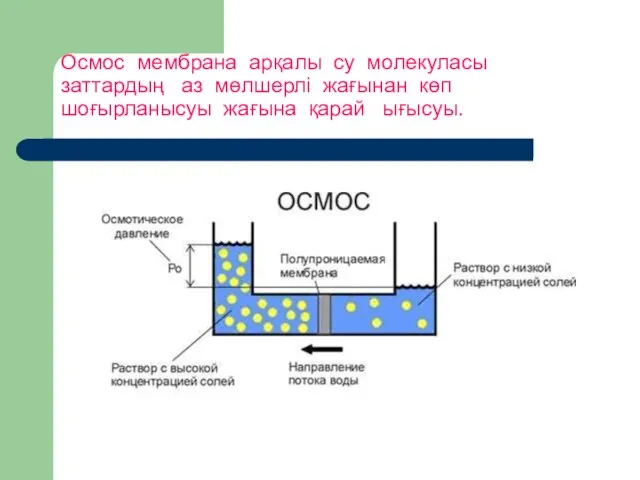 Осмос мембрана арқалы су молекуласы заттардың аз мөлшерлі жағынан көп шоғырланысуы жағына қарай ығысуы.