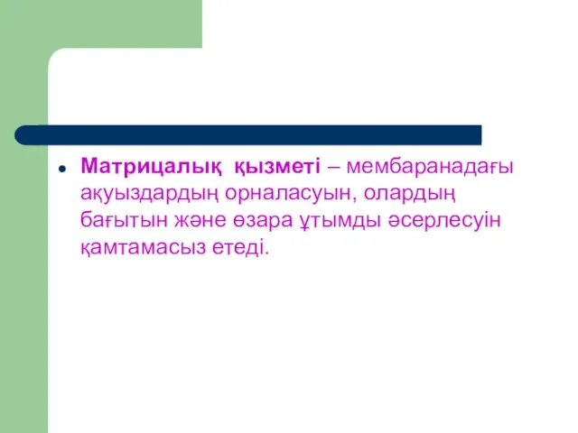 Матрицалық қызметі – мембаранадағы ақуыздардың орналасуын, олардың бағытын және өзара ұтымды әсерлесуін қамтамасыз етеді.