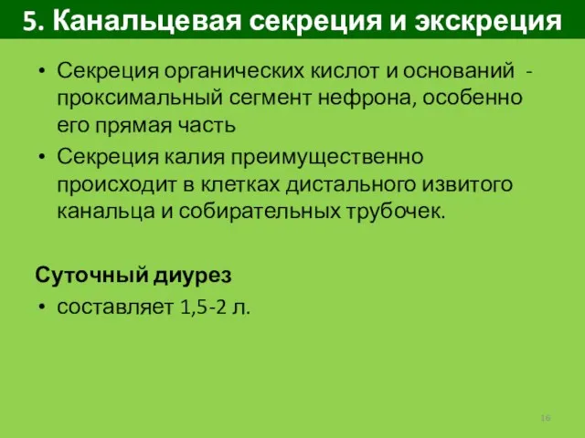 5. Канальцевая секреция и экскреция Секреция органических кислот и оснований -