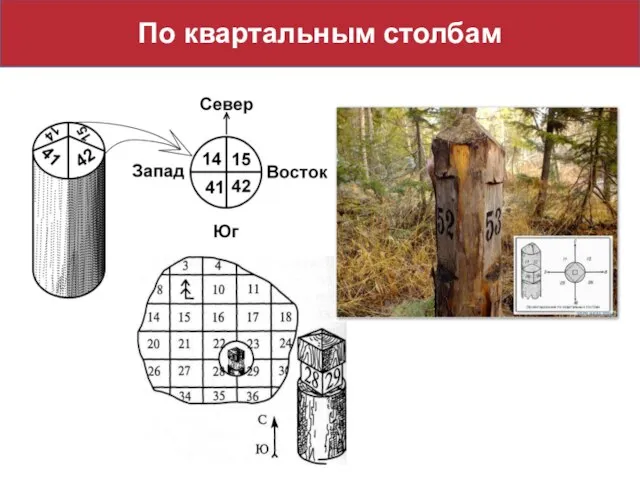 По квартальным столбам