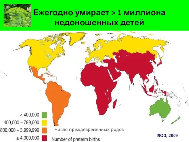 Ежегодно умирает > 1 миллиона недоношенных детей ВОЗ, 2009 Число преждевременных родов