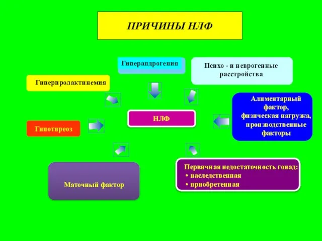 ПРИЧИНЫ НЛФ НЛФ Гиперпролактинемия Гиперандрогения Гипотиреоз Маточный фактор Первичная недостаточность гонад: