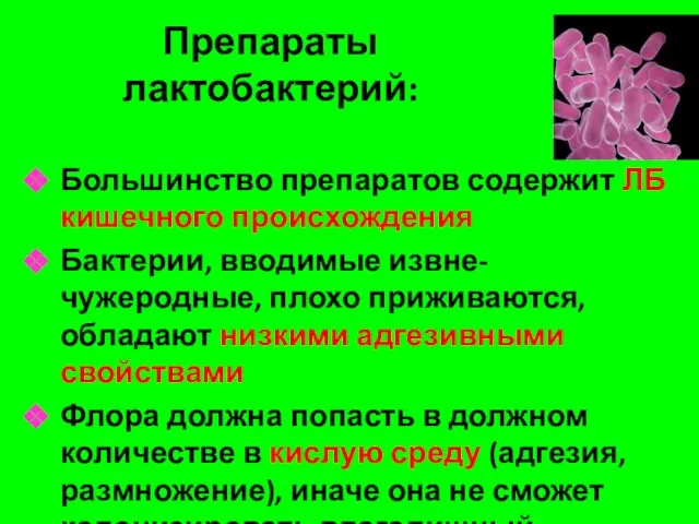 Препараты лактобактерий: Большинство препаратов содержит ЛБ кишечного происхождения Бактерии, вводимые извне-