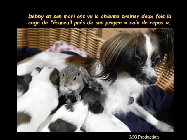 MG Production Debby et son mari ont vu la chienne trainer