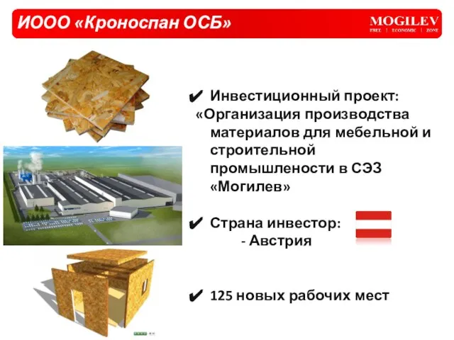 ИООО «Кроноспан ОСБ» Инвестиционный проект: «Организация производства материалов для мебельной и