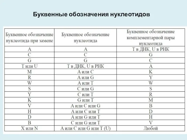 Буквенные обозначения нуклеотидов