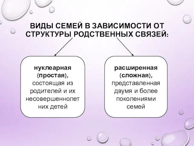 ВИДЫ СЕМЕЙ В ЗАВИСИМОСТИ ОТ СТРУКТУРЫ РОДСТВЕННЫХ СВЯЗЕЙ: нуклеарная (простая), состоящая