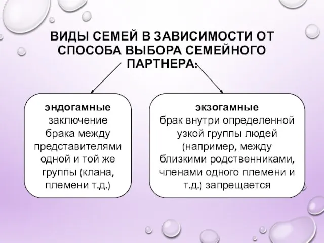 ВИДЫ СЕМЕЙ В ЗАВИСИМОСТИ ОТ СПОСОБА ВЫБОРА СЕМЕЙНОГО ПАРТНЕРА: эндогамные заключение