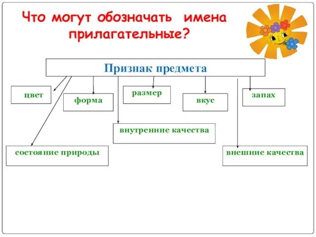 Что могут обозначать имена прилагательные? Признак предмета форма размер вкус цвет