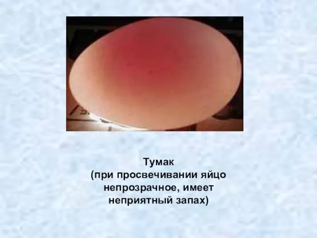 Тумак (при просвечивании яйцо непрозрачное, имеет неприятный запах)