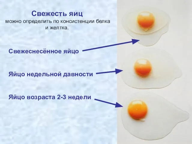 Свежесть яиц можно определить по консистенции белка и желтка. Свежеснесённое яйцо