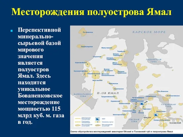 Месторождения полуострова Ямал Перспективной минерально-сырьевой базой мирового значения является полуостров Ямал.