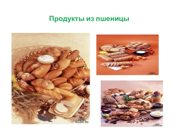 Продукты из пшеницы