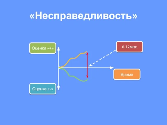 «Несправедливость» Оценка «+» Время Оценка «-» 6-12мес