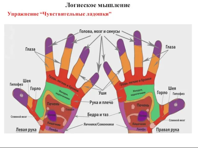 Логиеское мышление Упражнение “Чувствительные ладошки”