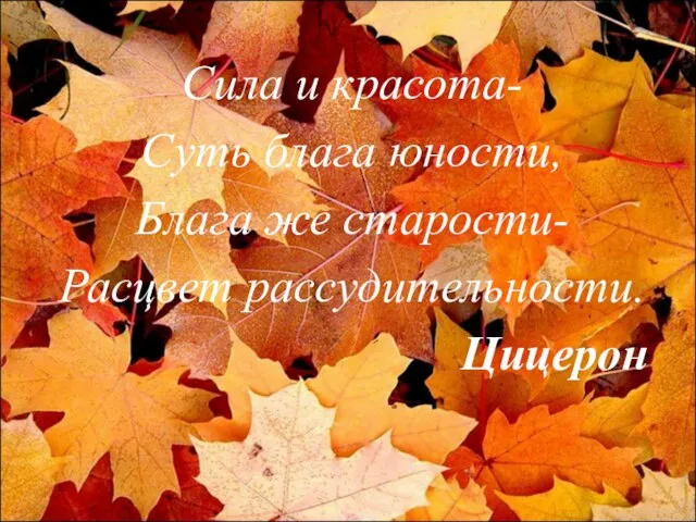 Сила и красота- Суть блага юности, Блага же старости- Расцвет рассудительности. Цицерон