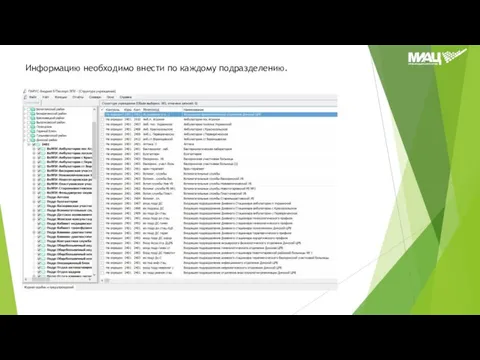 Информацию необходимо внести по каждому подразделению.