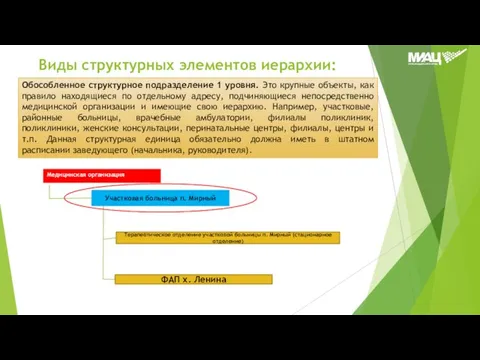 Виды структурных элементов иерархии: Обособленное структурное подразделение 1 уровня. Это крупные