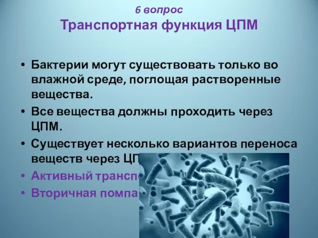 6 вопрос Транспортная функция ЦПМ Бактерии могут существовать только во влажной