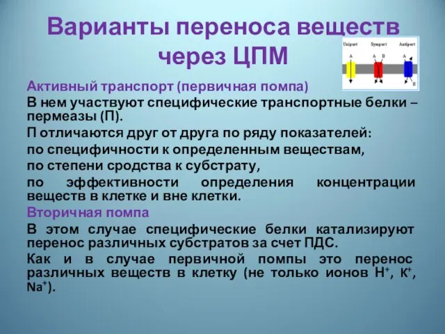 Варианты переноса веществ через ЦПМ Активный транспорт (первичная помпа) В нем