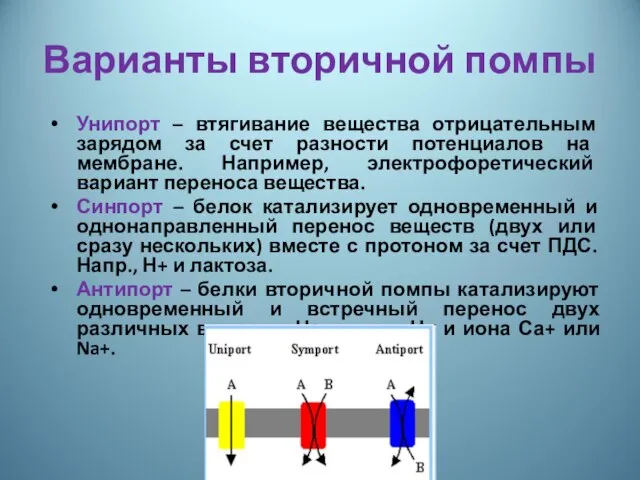 Варианты вторичной помпы Унипорт – втягивание вещества отрицательным зарядом за счет