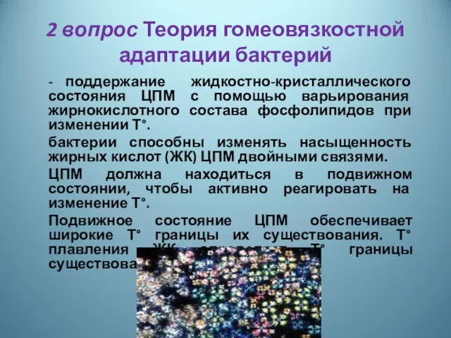 2 вопрос Теория гомеовязкостной адаптации бактерий - поддержание жидкостно-кристаллического состояния ЦПМ