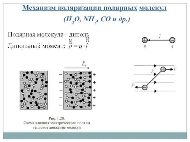 Механизм поляризации полярных молекул (Н2О, NH3, CO и др.)